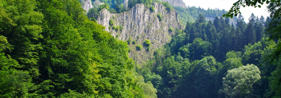 Tipy na výlet - Preskúmajte Pieniny z plte alebo na bicykli