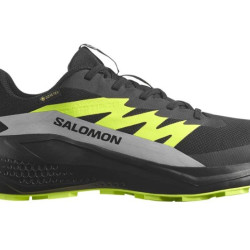 Salomon ALPHAGLIDE GTX trailové  topánky 