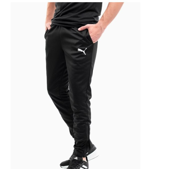 PUMA pánske nohavice team RISE Poly Training 