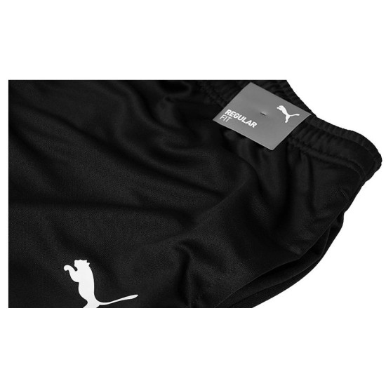 PUMA pánske nohavice team RISE Poly Training 